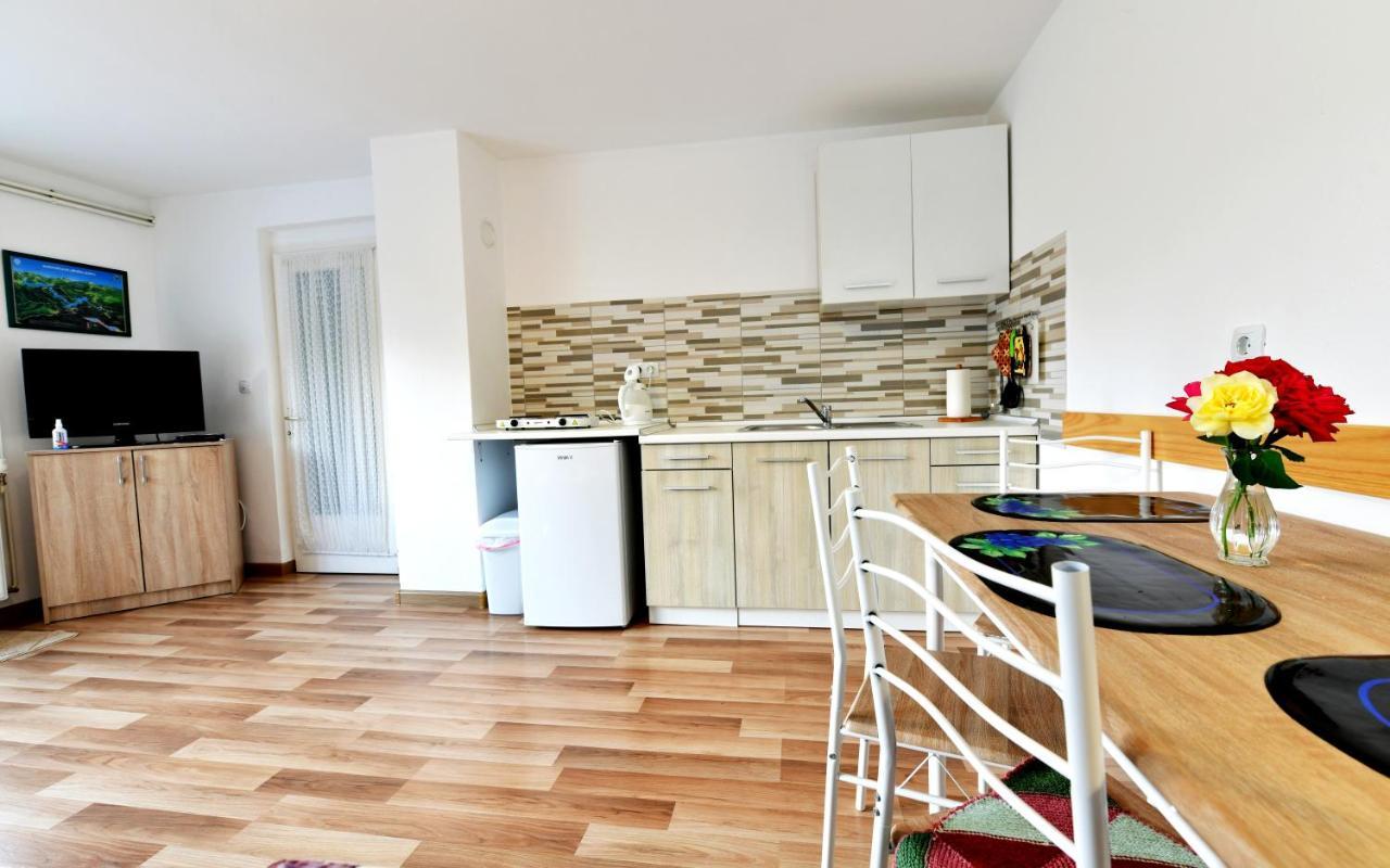 רקוביצה Apartment Stjepan מראה חיצוני תמונה